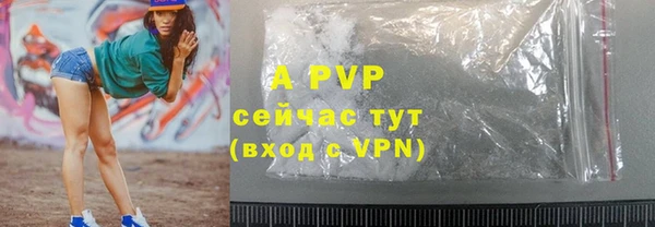 дживик Белокуриха