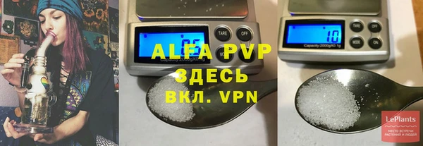 дживик Белокуриха