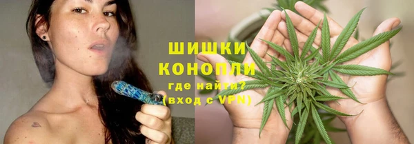 прущие грибы Балахна