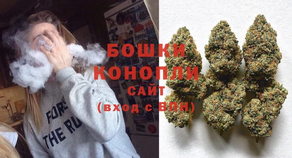 дживик Белокуриха