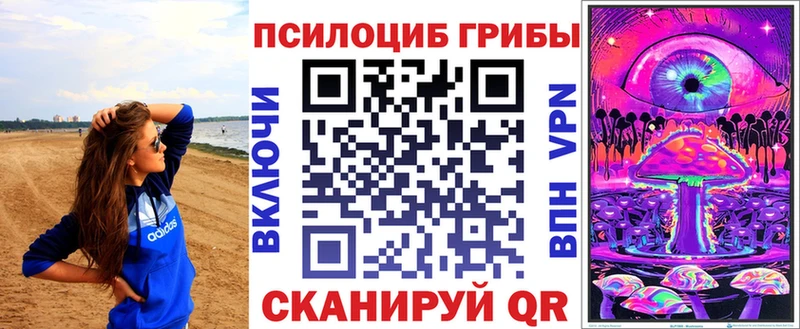 купить наркотик  Заинск  маркетплейс клад  Псилоцибиновые грибы Magic Shrooms 
